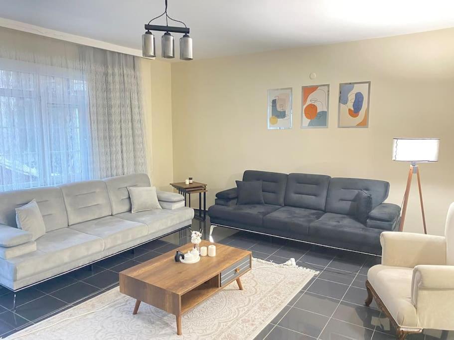 Comfy - Spacious Flat On The Kadikoey Seaside Leilighet Istanbul Eksteriør bilde